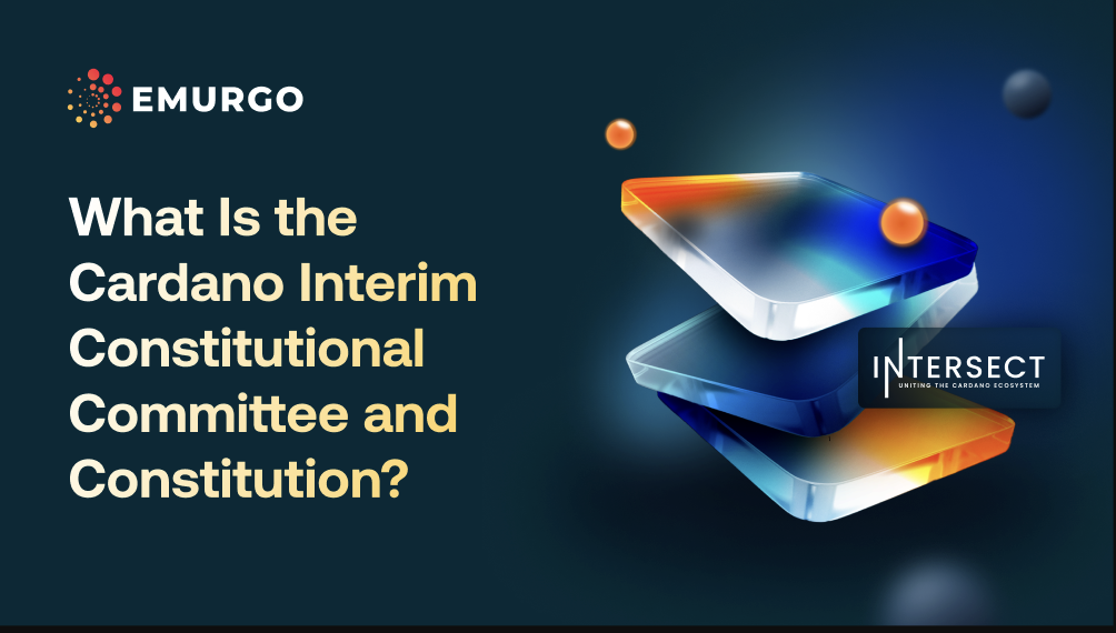 What-Is-The-Interim-Cardano-Constitutional-Committee