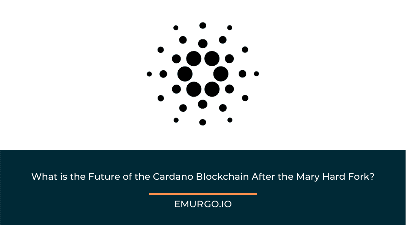 What-is-the-Future-of-the-Cardano-Blockchain.png